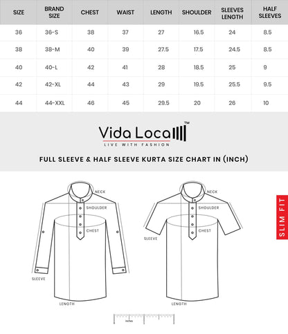Vida Loca Men Solid Cotton Blend Straight Kurta Shirt for Men (Light Green)